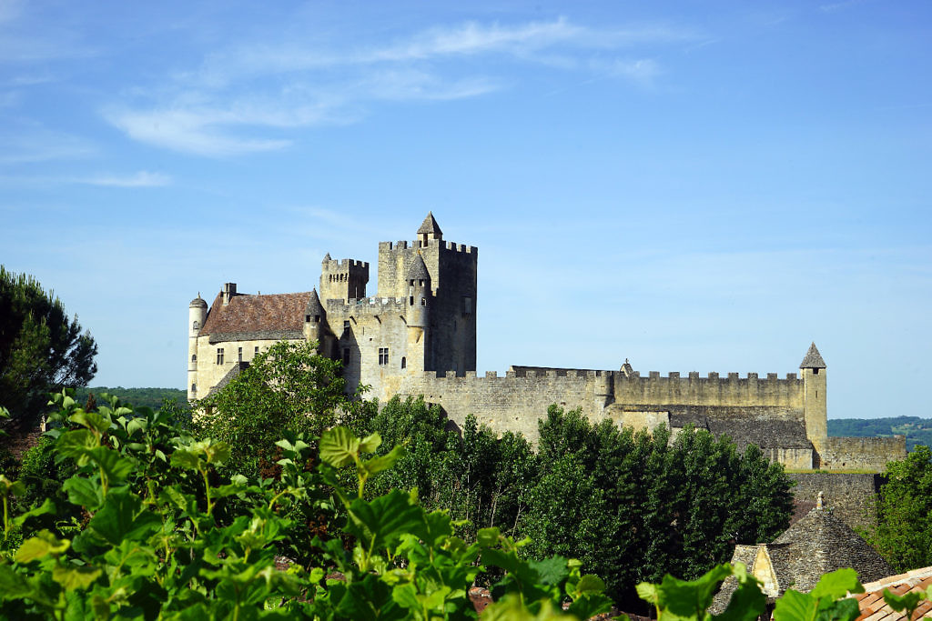 La Boucle des Cygnes Noirs est une petite ballade qui se situe à Beynac. Elle se fait en 1h environ ...